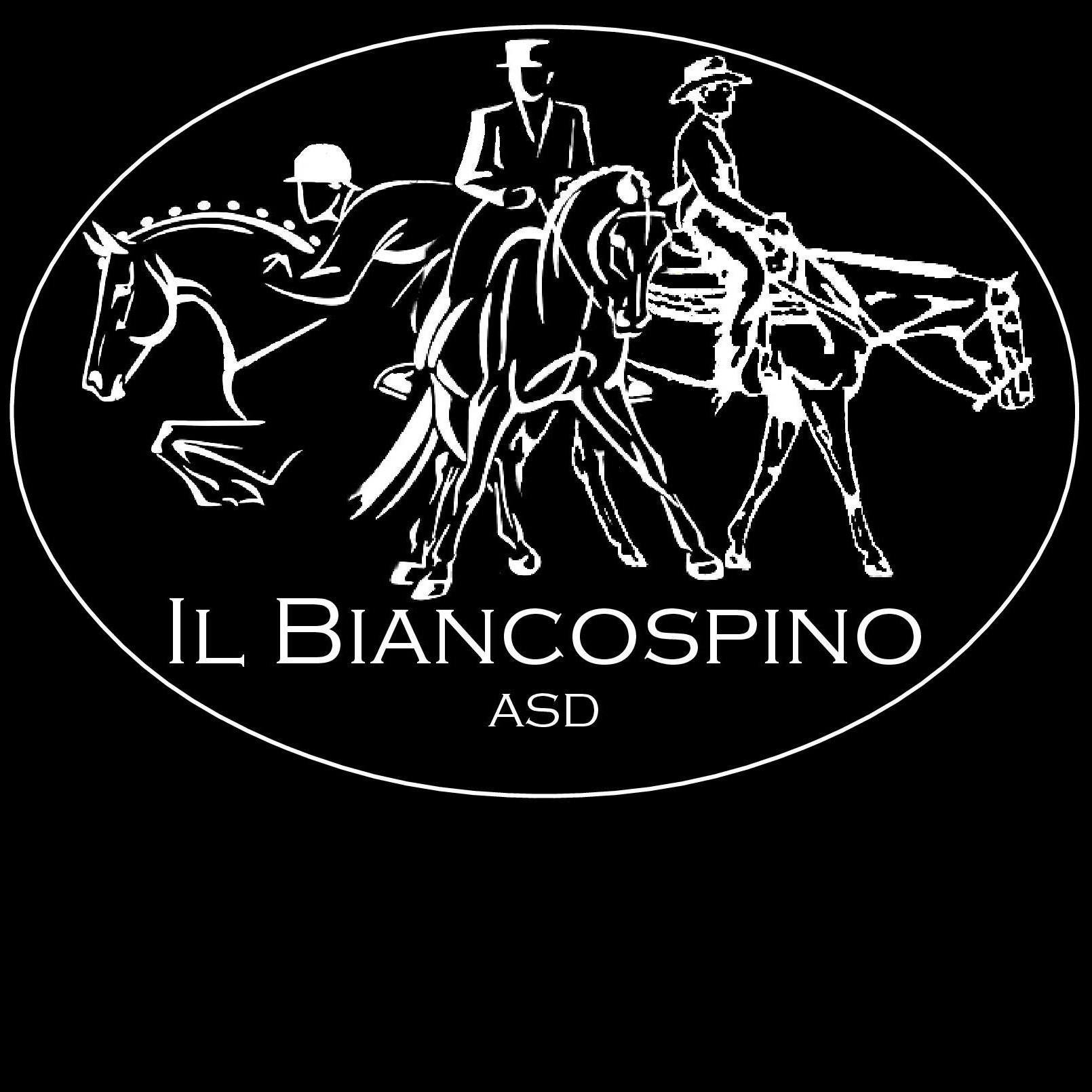 Il Biancospino Asd logo
