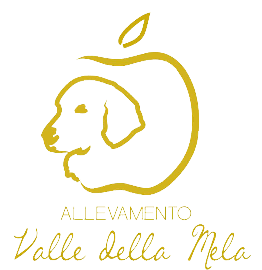 Allevamento Valle Della Mela logo