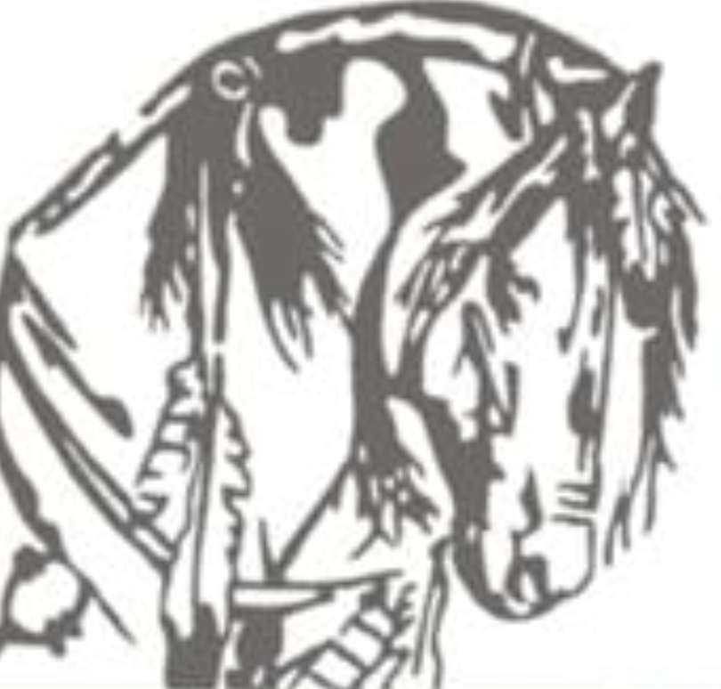 Little Ranch Sue logo