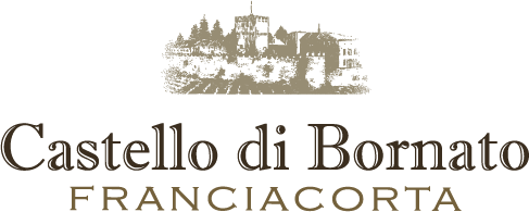 Castello Di Bornato logo
