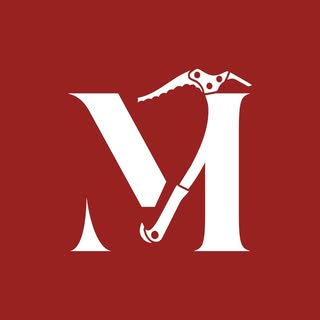 Les Montagnards Torgnon logo