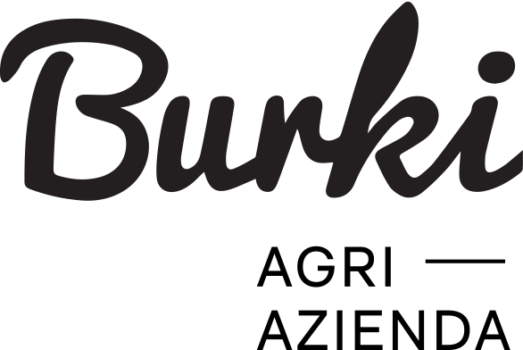 Agriturismo Alpe Burki logo