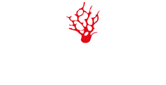 Nautica Red Coral logo