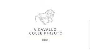 Società Agricola di colle Pinzuto logo