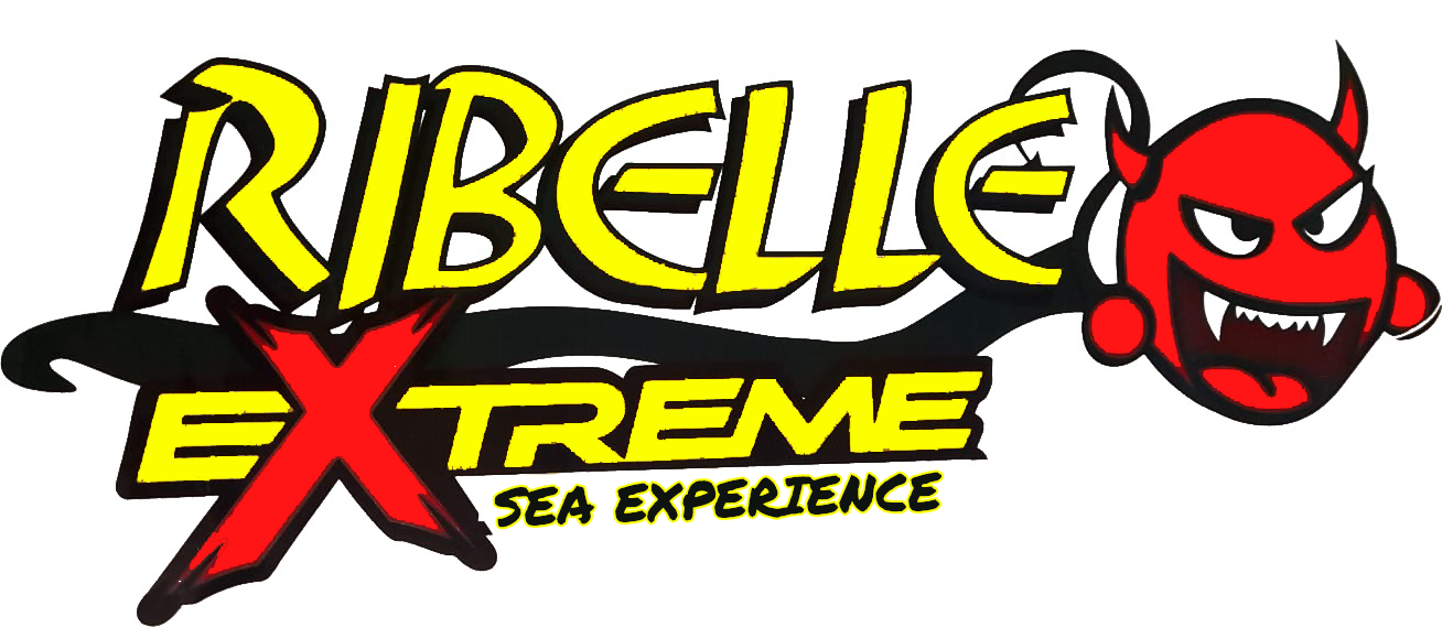 RibelleCharter logo