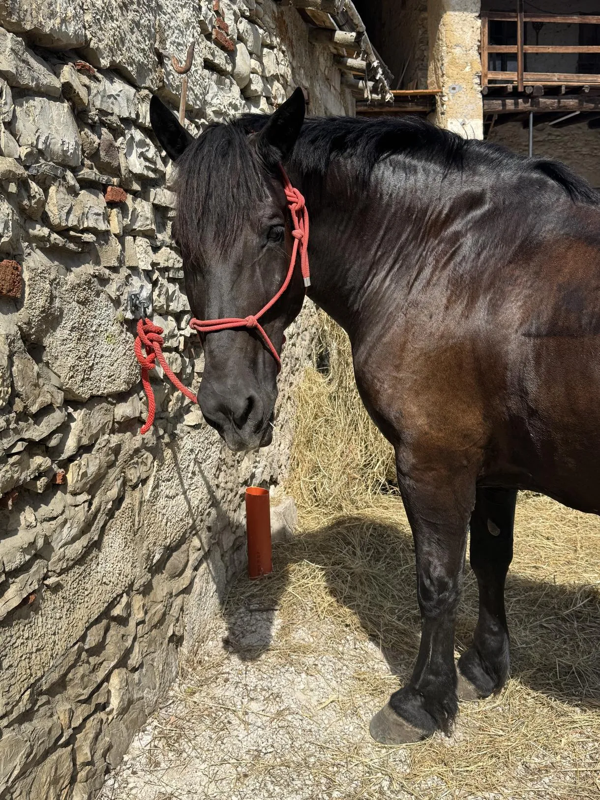 review
