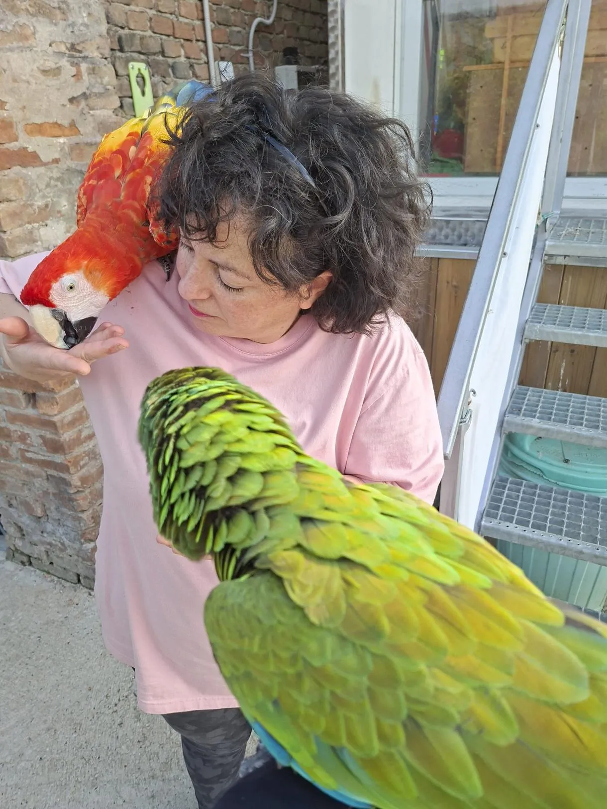 review