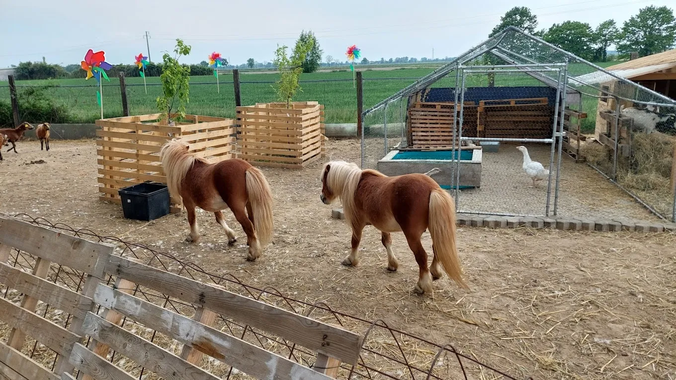 Pranzo in agriturismo con animali in Lombardia: i 7 migliori