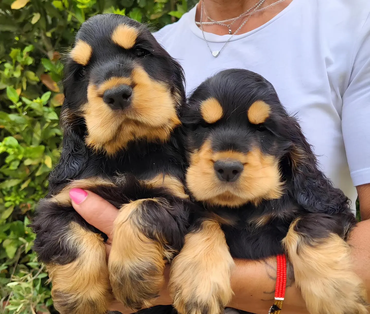 Le 20 migliori esperienze con animali in Italia