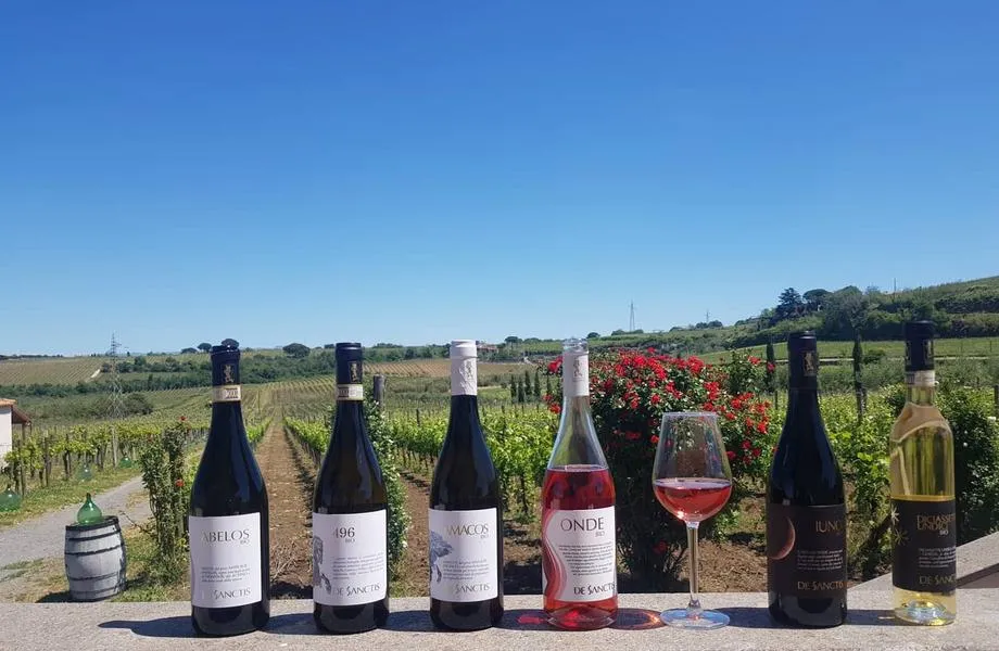 Le 5 migliori degustazioni di vino fuori Roma