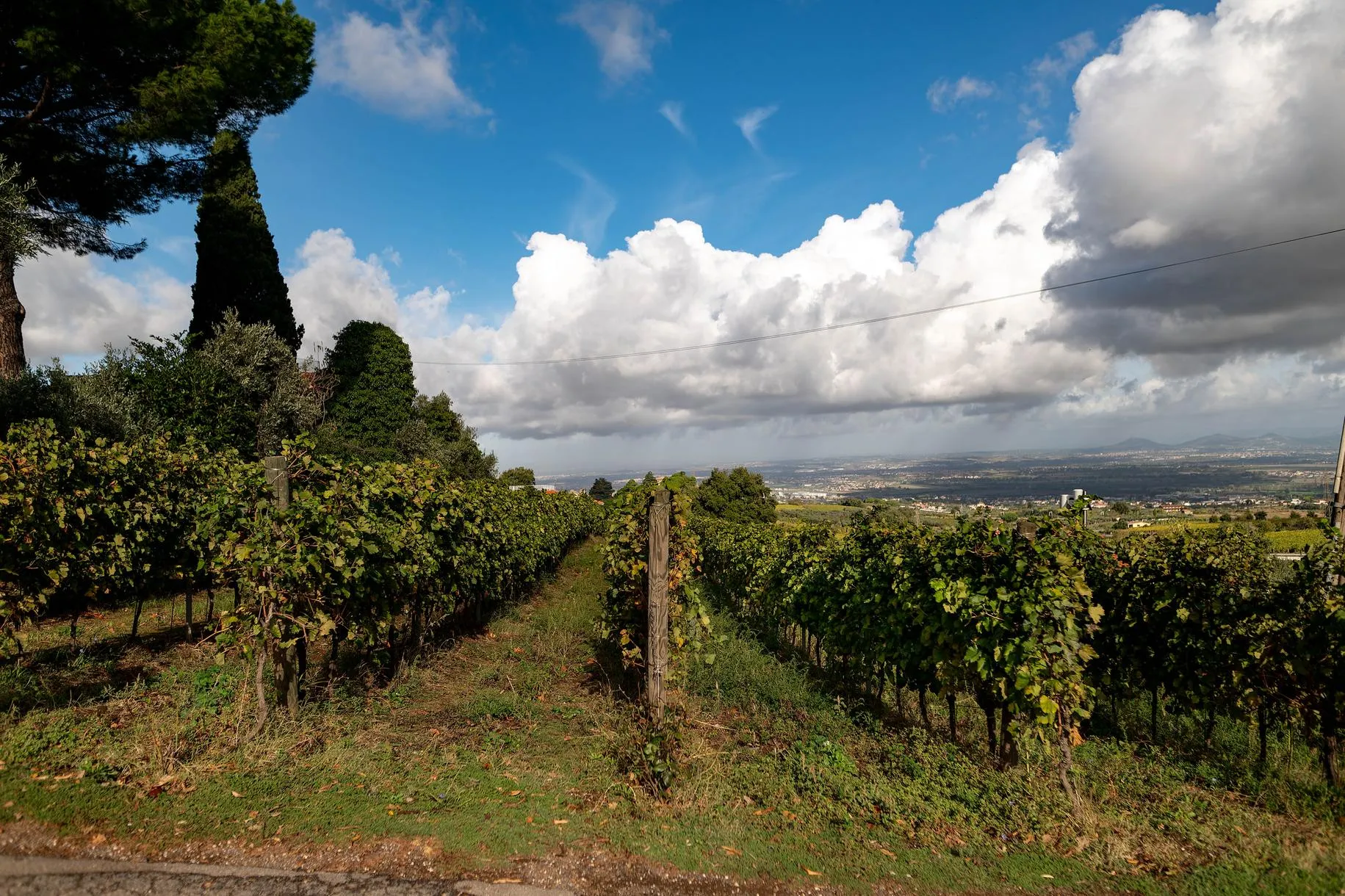 Le 3 migliori degustazioni di vino a Frascati